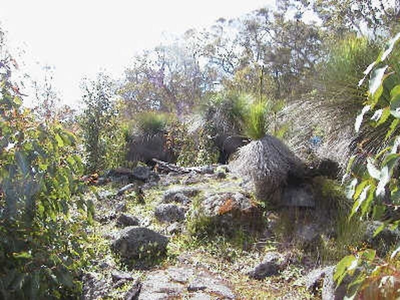 Lot 23 Huitson Road, Yornup WA 6256