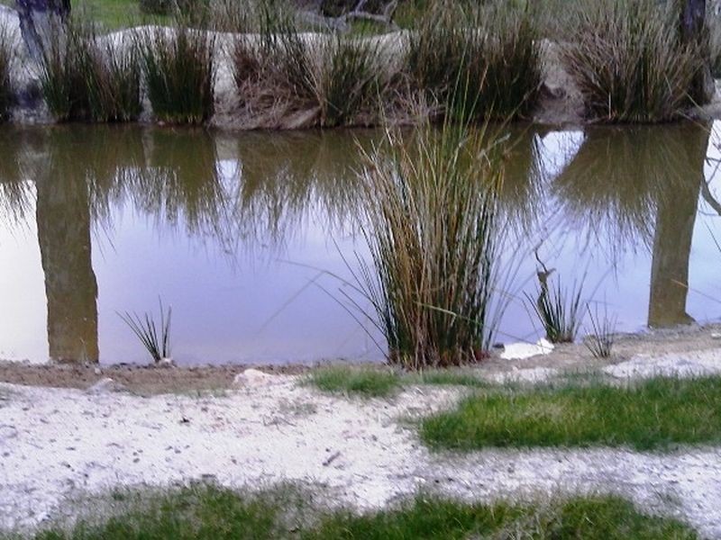 1632 Brown Seymour Road, Boyup Brook WA 6244