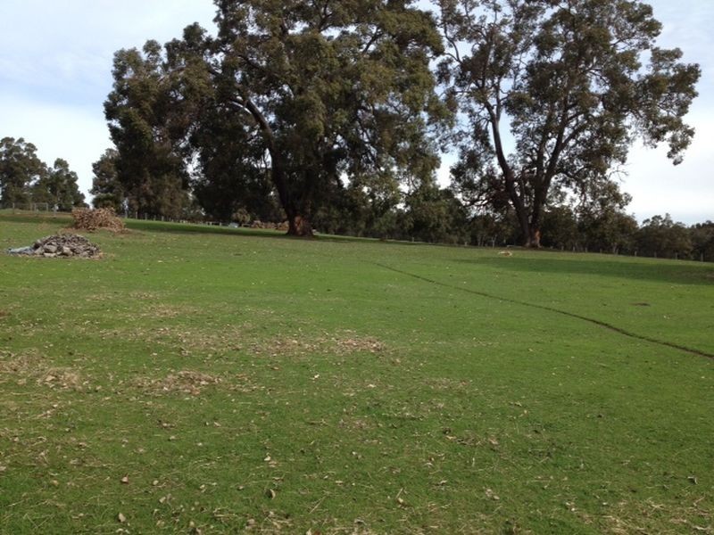 Lot 222 Ridgeview Avenue, Boyup Brook WA 6244