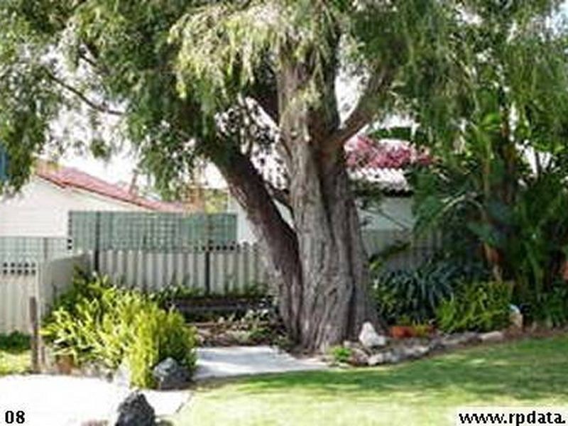 48 Padbury Road, Bridgetown WA 6255