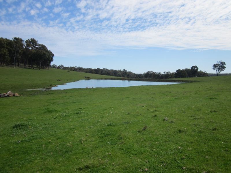 8102 Tweed Road, Bridgetown WA 6255