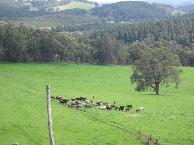 8102 Tweed Road, Bridgetown WA 6255