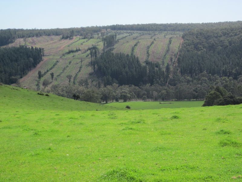 8102 Tweed Road, Bridgetown WA 6255