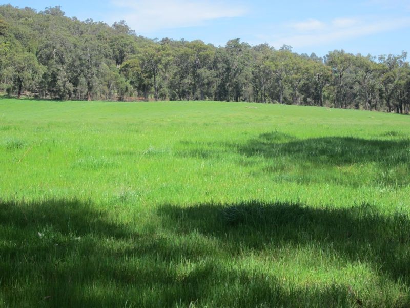 8102 Tweed Road, Bridgetown WA 6255