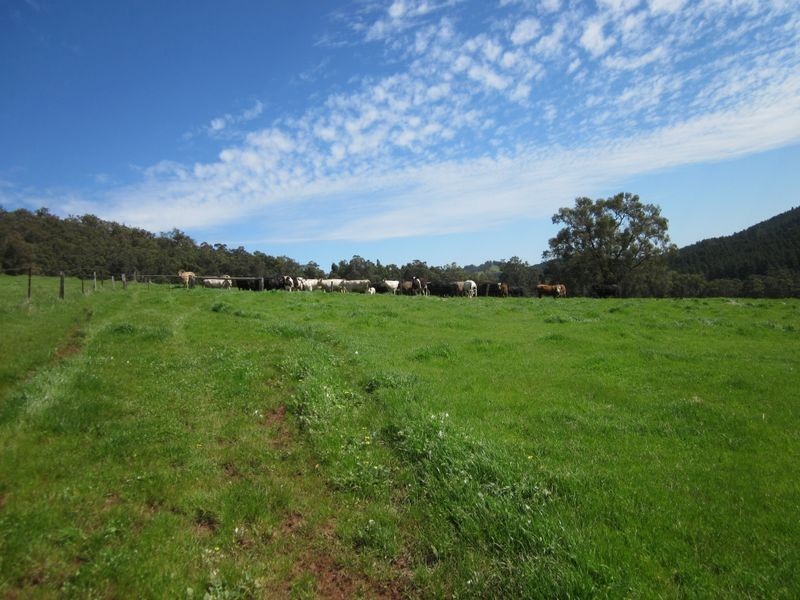 8102 Tweed Road, Bridgetown WA 6255