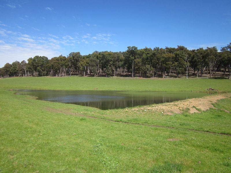 8102 Tweed Road, Bridgetown WA 6255