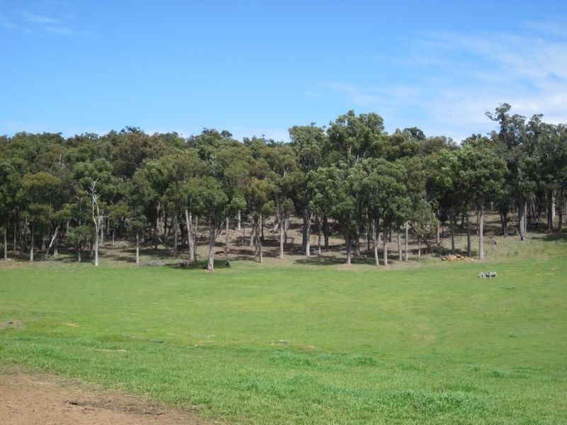 8102 Tweed Road, Bridgetown WA 6255