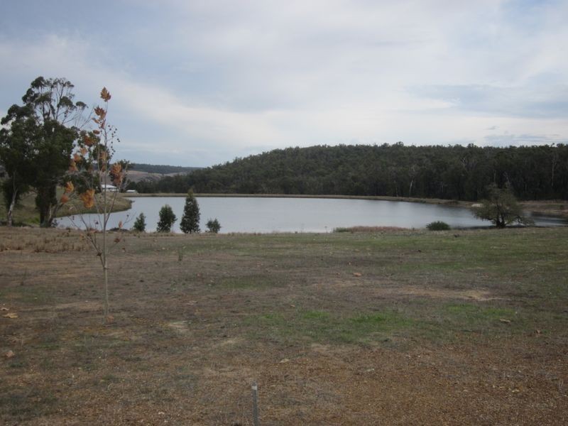 Lot 334 Stiirling Street, Bridgetown WA 6255