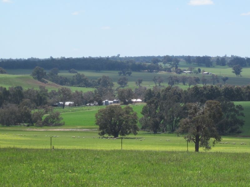 51 Muir Road, Mayanup WA 6244