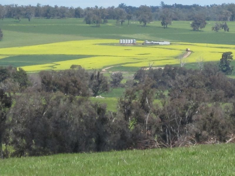 51 Muir Road, Mayanup WA 6244