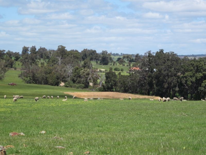 51 Muir Road, Mayanup WA 6244