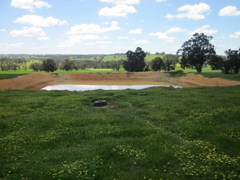 51 Muir Road, Mayanup WA 6244