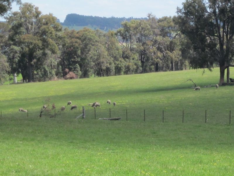 51 Muir Road, Mayanup WA 6244