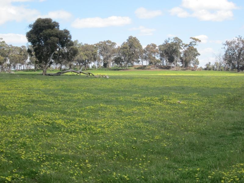 51 Muir Road, Mayanup WA 6244