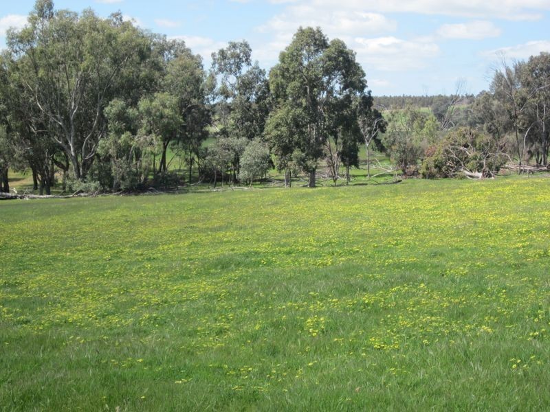 51 Muir Road, Mayanup WA 6244