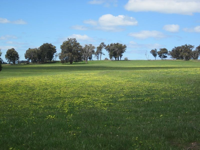 51 Muir Road, Mayanup WA 6244