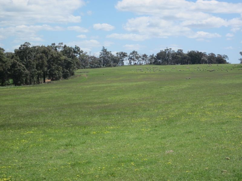 51 Muir Road, Mayanup WA 6244