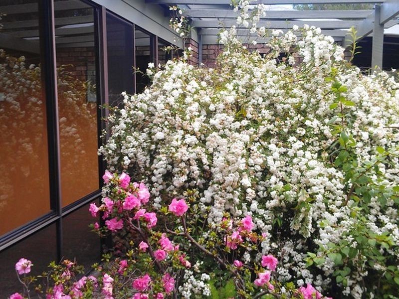 96 Blechynden Street, Bridgetown WA 6255