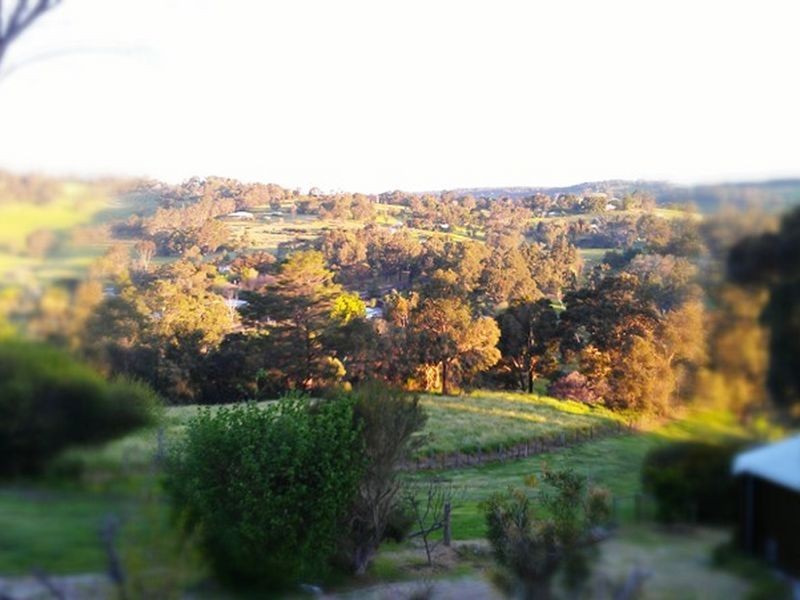 96 Blechynden Street, Bridgetown WA 6255