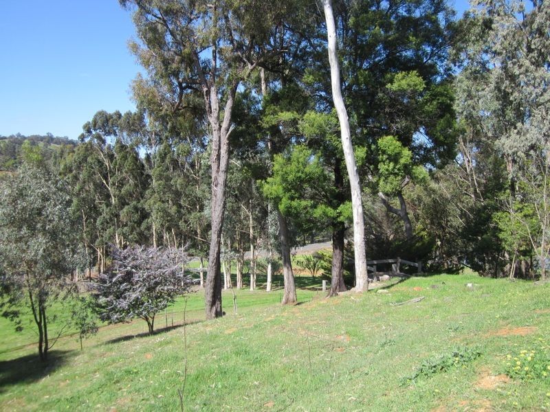 3 Tweed Road, Bridgetown WA 6255