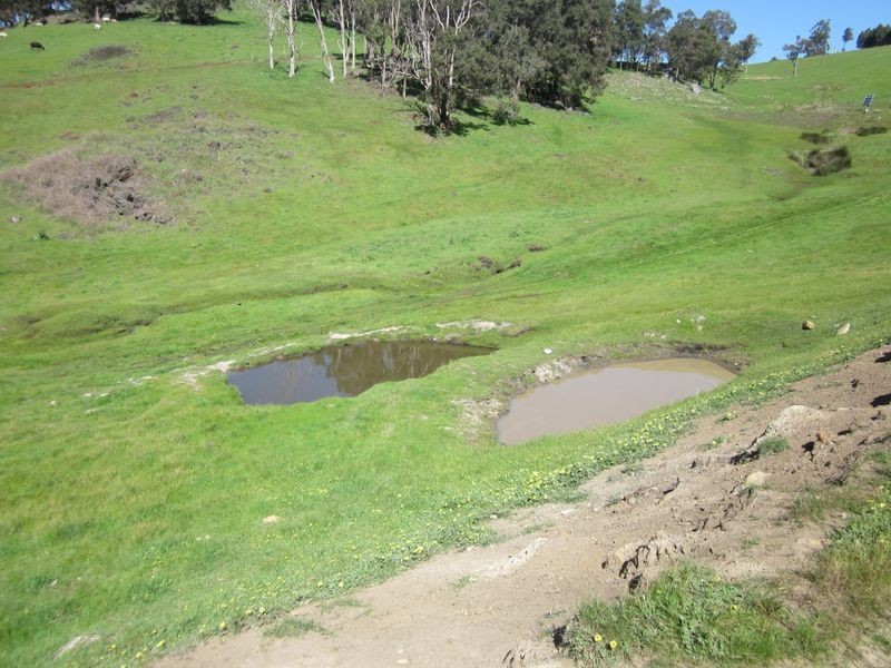 3 Tweed Road, Bridgetown WA 6255