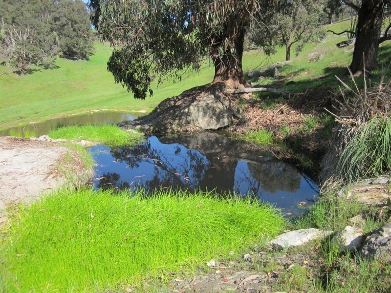 3 Tweed Road, Bridgetown WA 6255