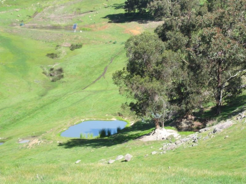 3 Tweed Road, Bridgetown WA 6255