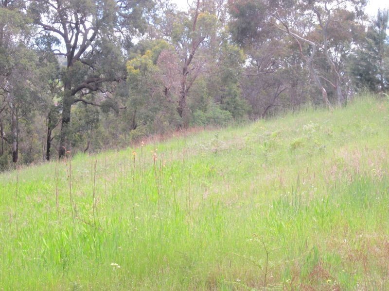 Lot 2 & 3 Railway Terrace, Bridgetown WA 6255