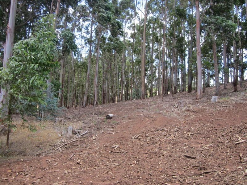 22 Dean Street, Bridgetown WA 6255