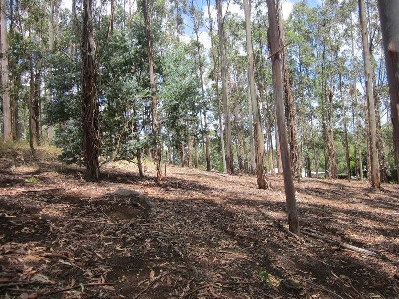 22 Dean Street, Bridgetown WA 6255