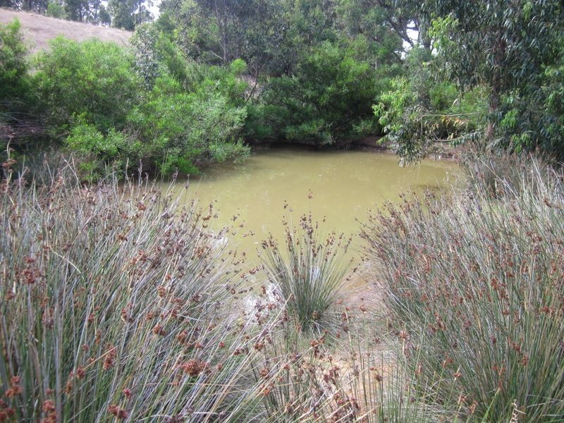 798 Maslin Street, Bridgetown WA 6255