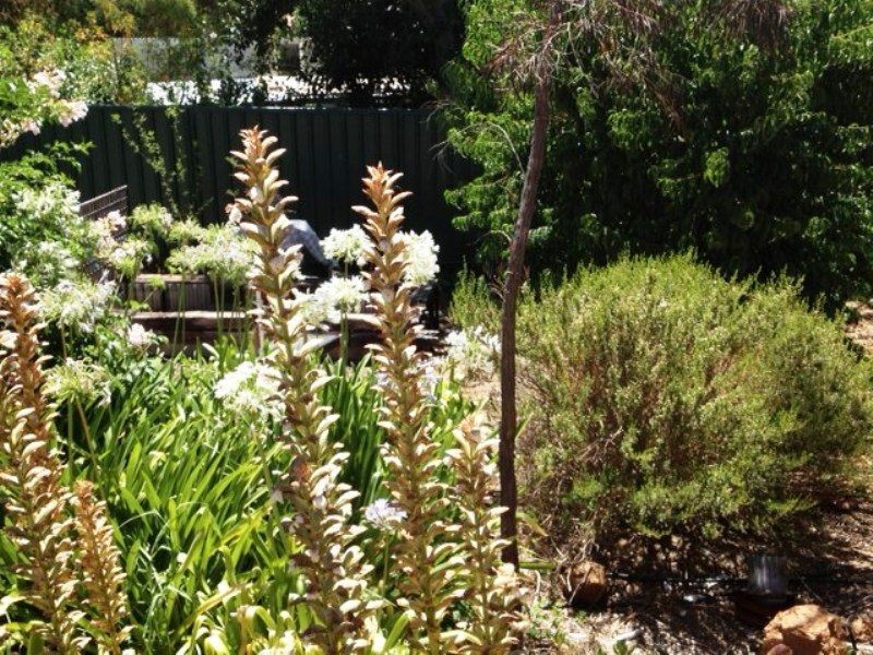 10 Robinson Avenue, Boyup Brook WA 6244