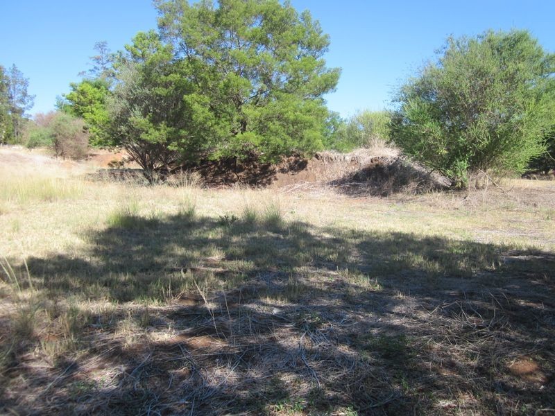 18 Moore Street, Balingup WA 6253