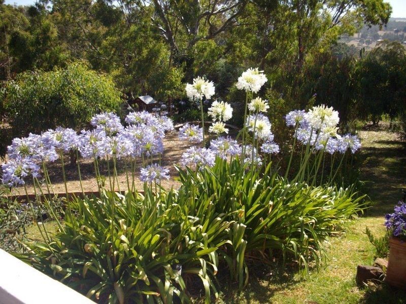 79 Blechynden Street, Bridgetown WA 6255