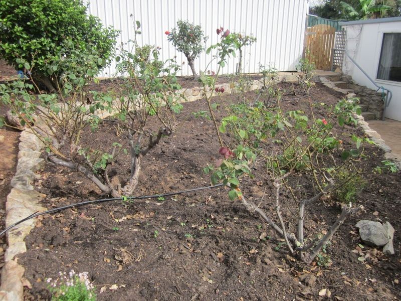 126 Steere Street, Bridgetown WA 6255