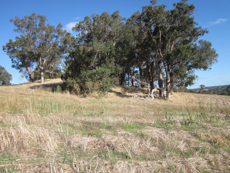 Lot 48 Sunridge Drive, Bridgetown WA 6255