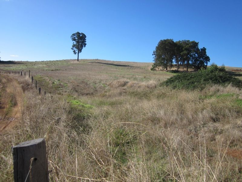 Lot 31 Dexter Rise, Bridgetown WA 6255