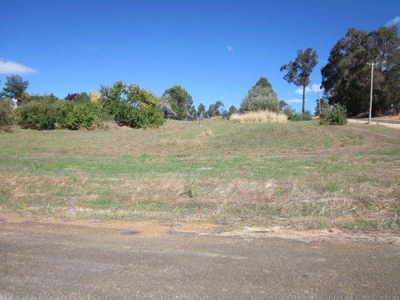 25 Henry Street, Bridgetown WA 6255