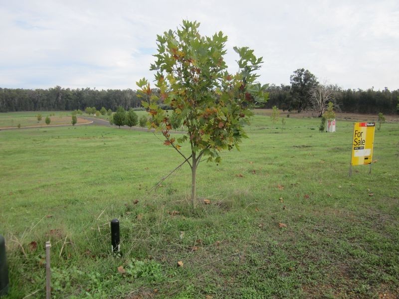 L 332 Haig Street, Bridgetown WA 6255