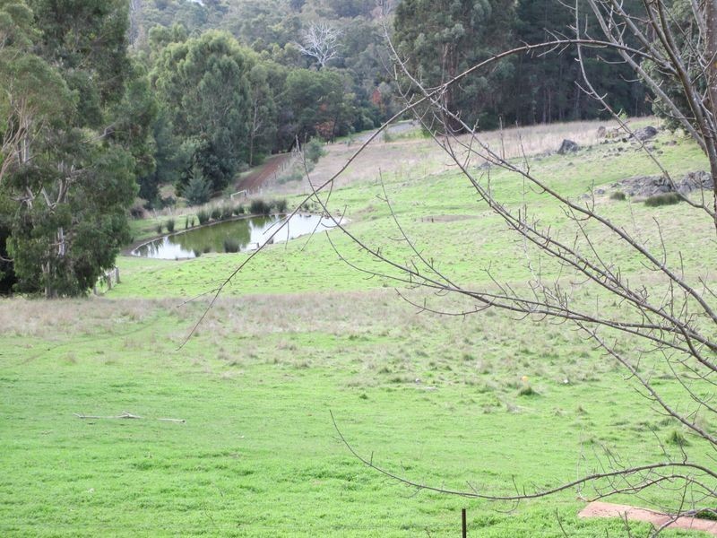 599 Shephard Street, Bridgetown WA 6255