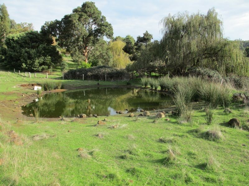 599 Shephard Street, Bridgetown WA 6255