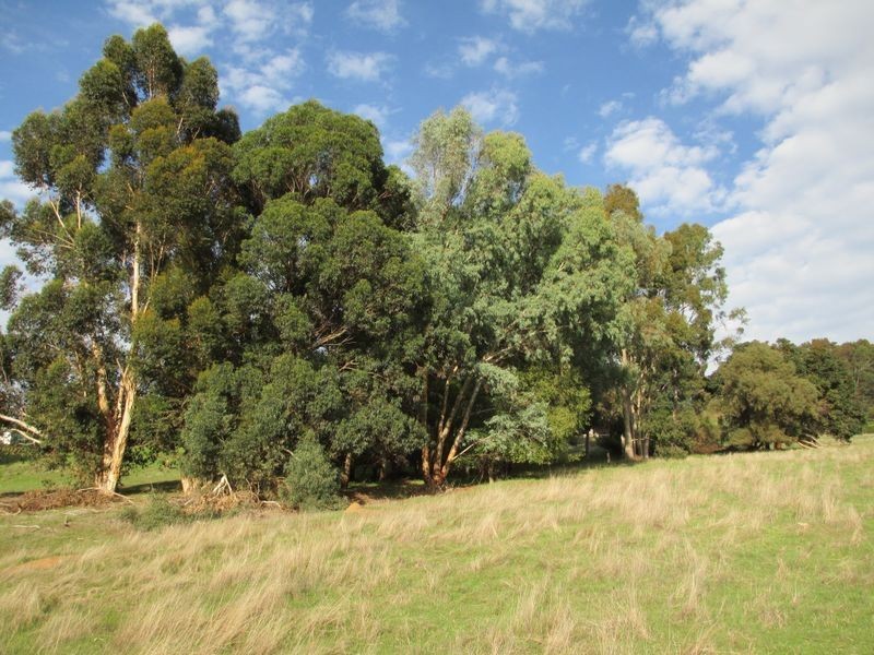 599 Shephard Street, Bridgetown WA 6255