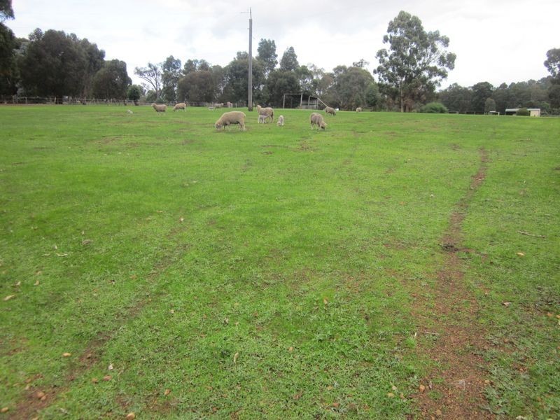 53 Turner Road, Bridgetown WA 6255