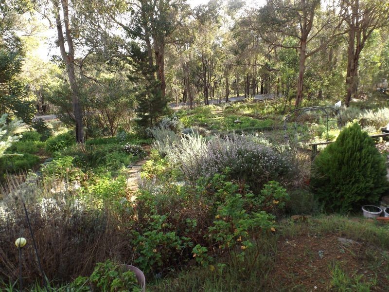 53 Diorite Street, Greenbushes WA 6254