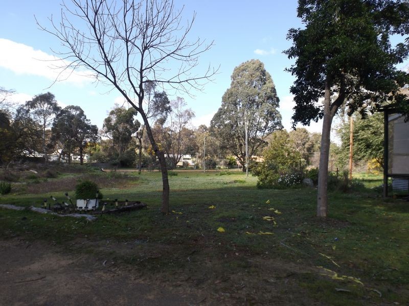 20 22 24 2 Williams Street, Greenbushes WA 6254