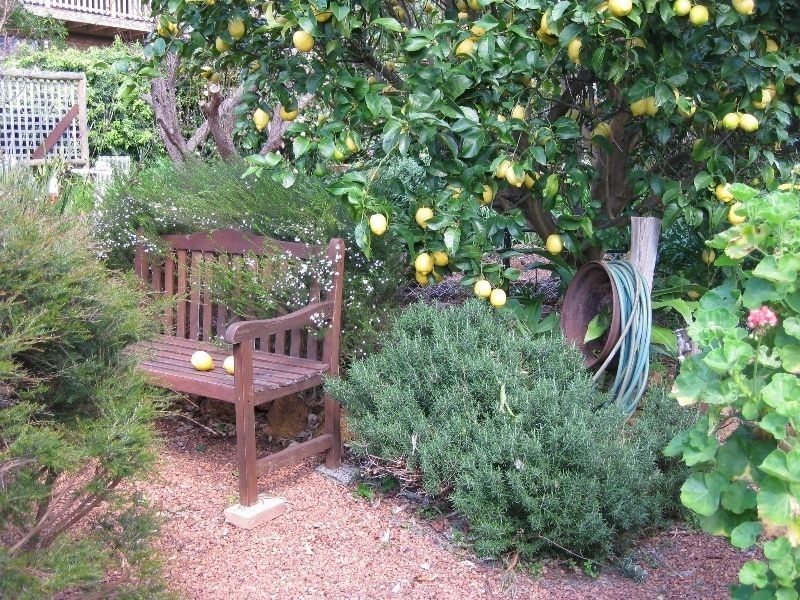 15 McAlinden Street, Bridgetown WA 6255