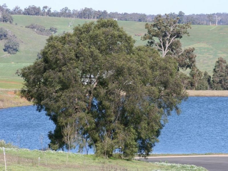 L 439 Gleneagles Drive, Bridgetown WA 6255