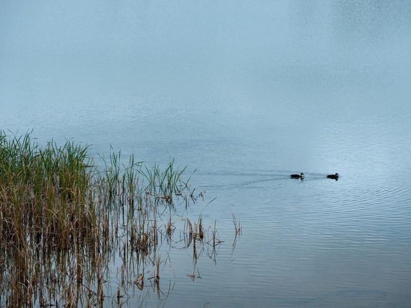 L 439 Gleneagles Drive, Bridgetown WA 6255