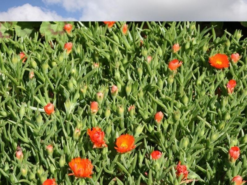 L 439 Gleneagles Drive, Bridgetown WA 6255