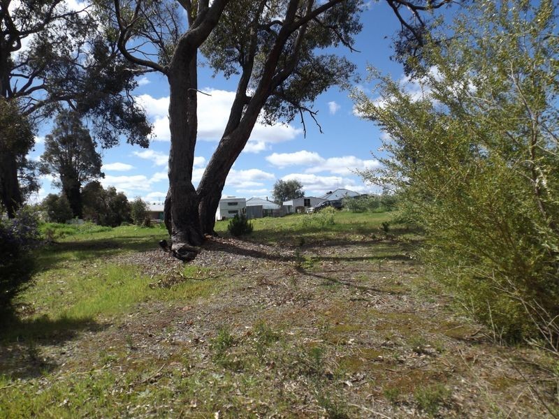 48 Diorite Street, Greenbushes WA 6254